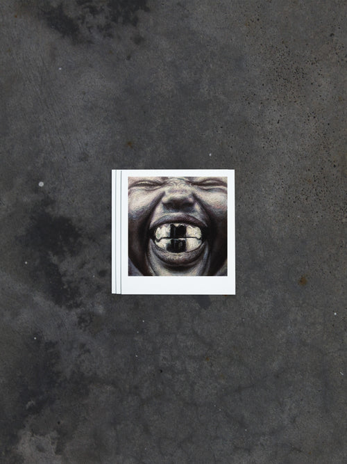 Bully Print